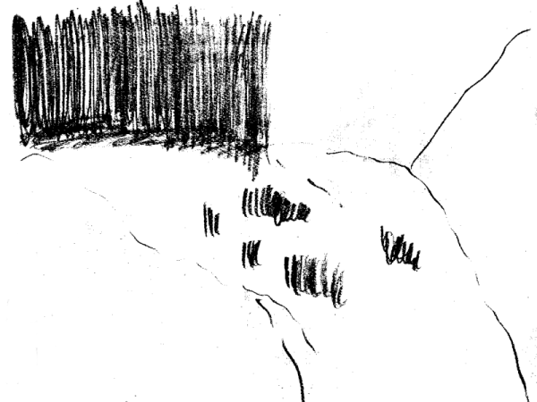 unidentified pencil sketch