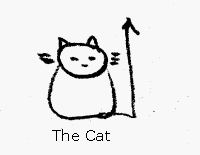 Harold Jager, the Cat